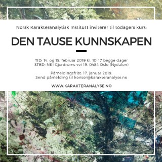 Kurs: Den tause kunnskapen