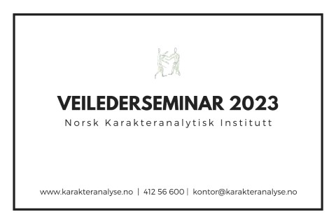 Veilederseminar 2023 – del 2